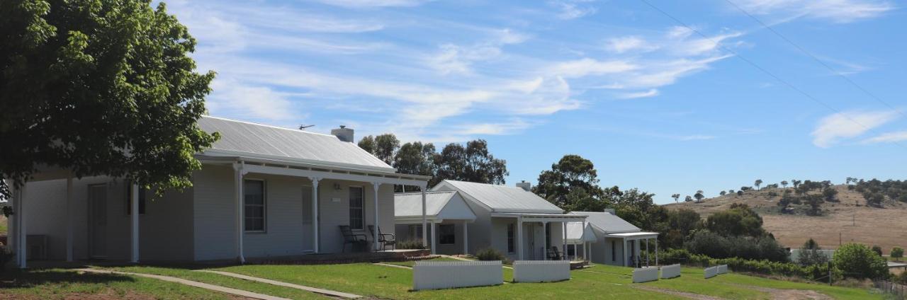 Country * Wagga Wagga